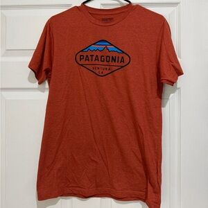 Patagonia Men's Rust Graphic Tee